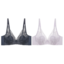 (Pack of 2) (Petal Underwear) Admiration Underwear Womens Anti-Bump Big Breast Showing Small Sexy Lace Bra Autumn