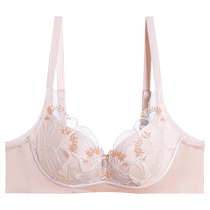Admiration Body Shaping Bra for Women Without Wires Thickened Molded Cup Hidden Hole Cup Lace Small Breast Push Up Bra AD140401
