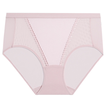 Admiration body brocade underwear womens cotton bottom crotch sexy mesh mid-waist boxer briefs AD230481