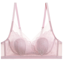 (Petals Underwear) Admiration Fantasy Garden Underwear Womens Wireless Thin Pad Hidden Hole Cup Bra AM178871