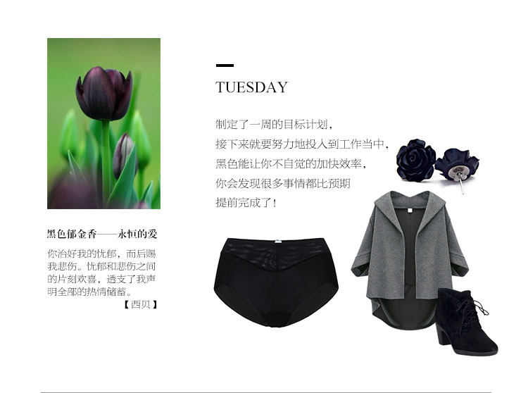 Slip jeunesse AM22100 - Ref 667178 Image 15