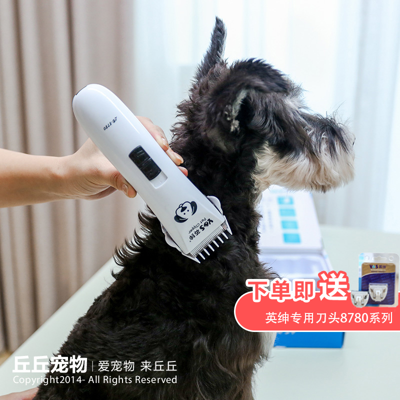 Chachu Pets-Ingentry Pet Electric Push Cuts Dogs Shawler Dog Hair Pushers Charging Teddy Shawler