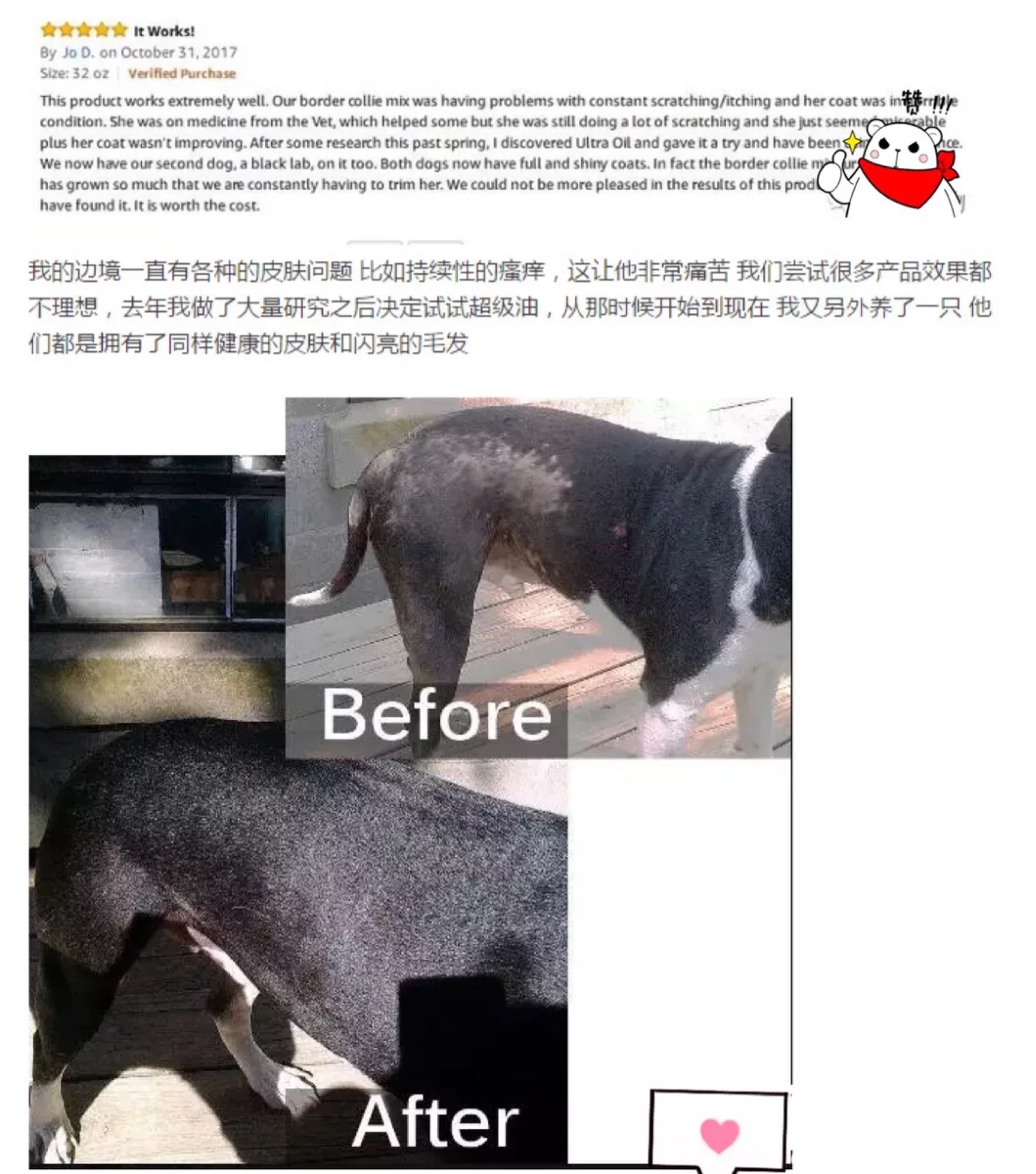 Qiuqiu pet-WDJ đề nghị tổng đại lý chống giả siêu tiêu chuẩn dầu thú cưng cho mèo chăm sóc da chăm sóc da 475ml - Cat / Dog Health bổ sung sữa mèo
