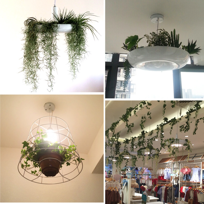 ���μ��ʹ�������ֲ�����MD202