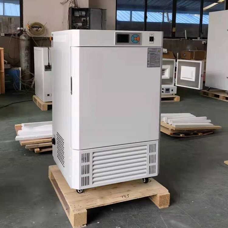 Nanjing Dongmai MJ-100-1 mold incubator LCD display factory direct sales