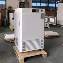 Nanjing Dongmai MJ-150-1 mold incubator LCD display stainless steel liner factory direct sales