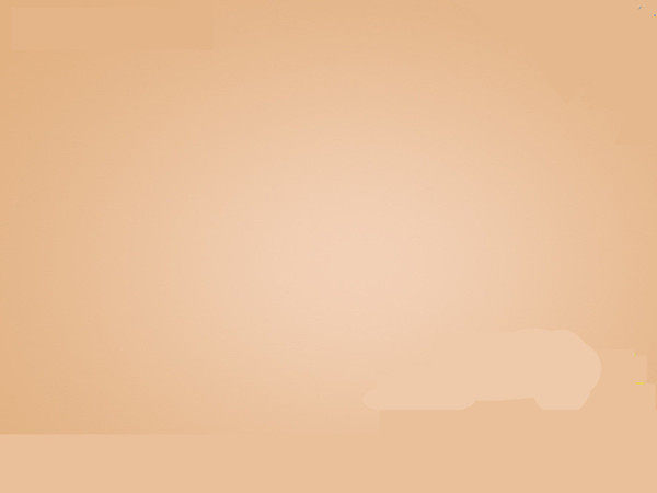 Sous-vêtement minceur sexy en nylon - Ref 686754 Image 28