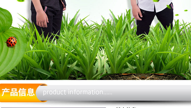 Chemise garcon à manche longue - Ref 2073469 Image 63