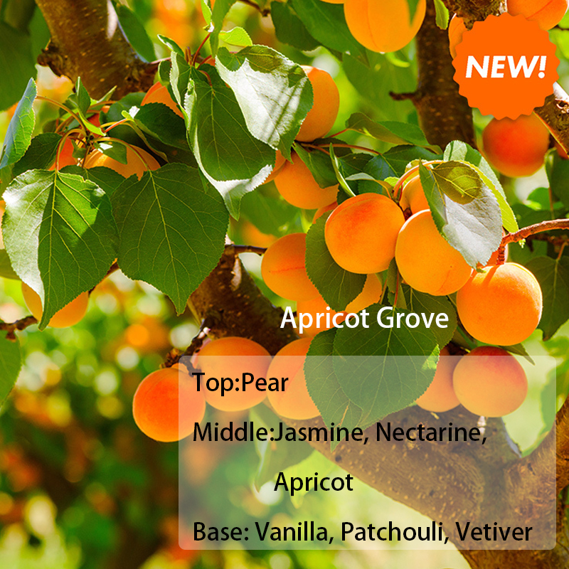 CandleScience U.S. imported scented candle scented essential oil soap available #fruitseries#