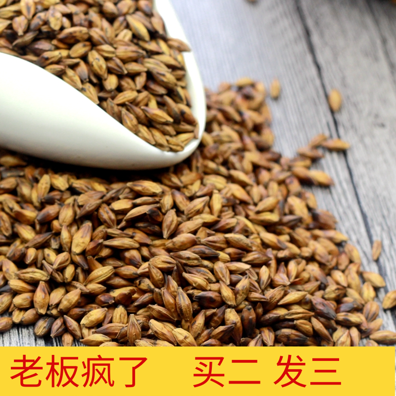 大麦茶500g浓香型散装袋泡茶酒店专用特级炒制茶优质清香花草茶