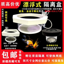 Round floating isolation box feeding stainless steel mesh bottom acrylic gold wave rat Fry breeding isolation incubator