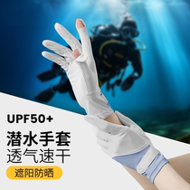 Diving special gloves womens thin sun protection free snorkeling surfing equipment anti-slip anti-scratch swimming full-finger gloves