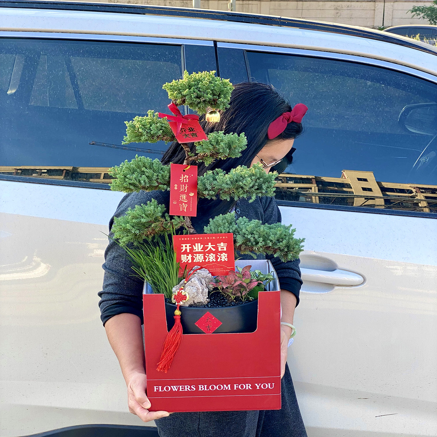 七层塔松盆景摆哪里最合适？给客厅增绿意的最佳乔迁开业礼物🎁选择！