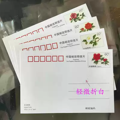 China Post special postage postcard TP24 (Camellia) fold White rare new full product