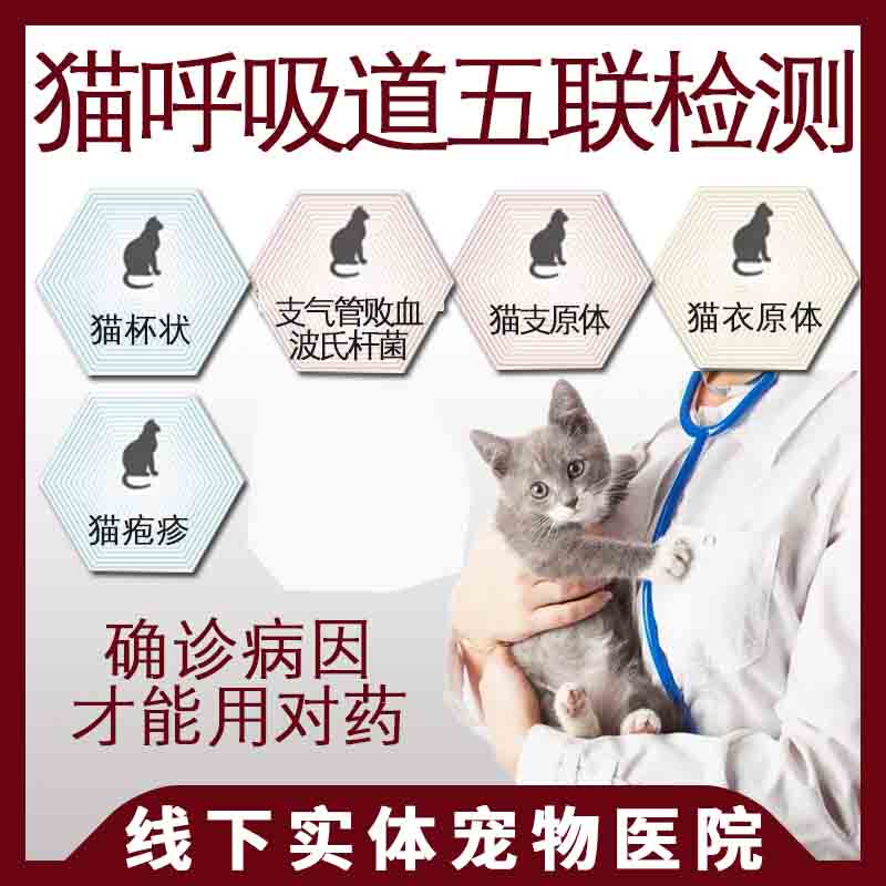Cat Respiratory Five-In-One Pcr Nucleic Acid Test for Herpes, Calicivirus, Mycoplasma, Chlamydia, and Coronavirus in Cats