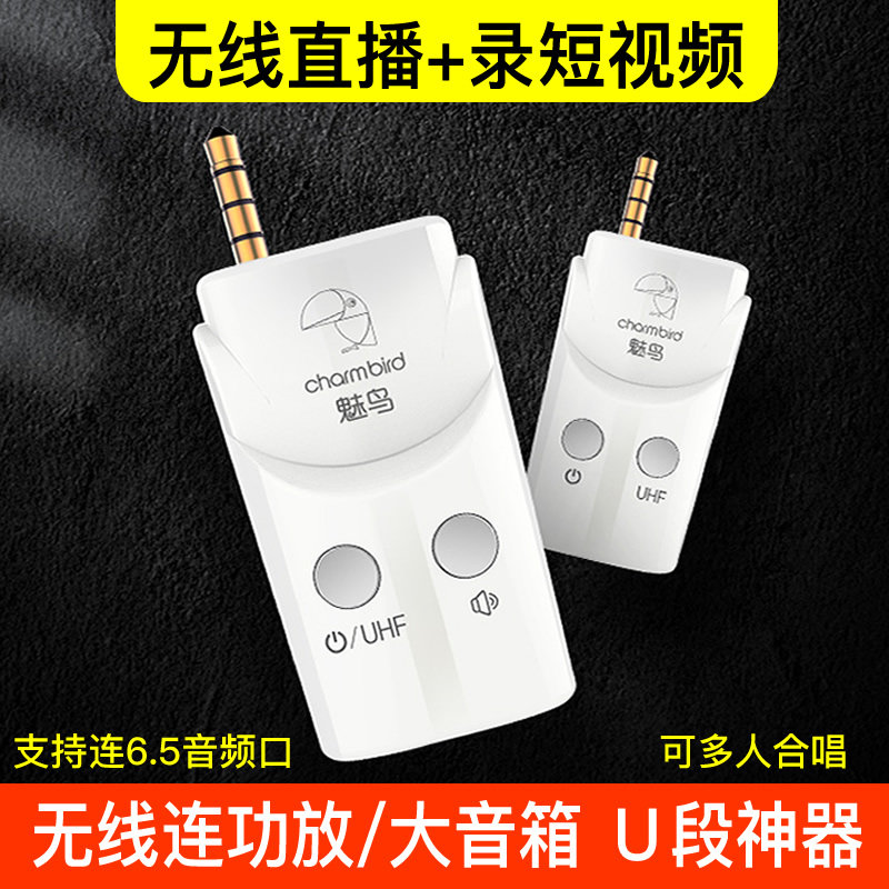 Microphone connected to speaker FM FM audio receiver mobile phone recording wireless live bluetooth transmitter charm bird U segment