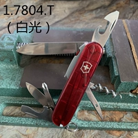 Vict -.7804.t Night Walk Sparta