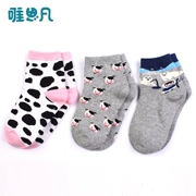 Cần bán | Vớ cho bé trai Sifan 2019 Mùa xuân và mùa thu Trẻ em thoáng khí Big Boy Thời trang Quần tất cao giản dị 3 đôi