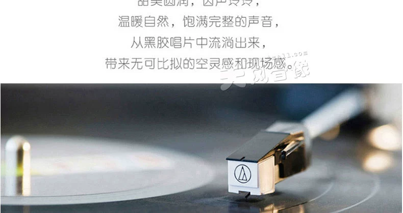 Mùa xuân chính hãng Ma Changsheng / Tan Baobury Quay trở lại bên ngoài LP Vinyl Record Gramophone Đĩa lớn 12 inch chuyên dụng - Máy hát