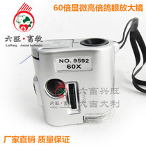 60 times microscopic high-power pigeon eye magnifying glass pigeon foot ring ring pigeon equipment