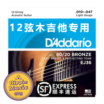 DAddario Dadario EJ36 12 string twelve string acoustic guitar string 12 string guitar string