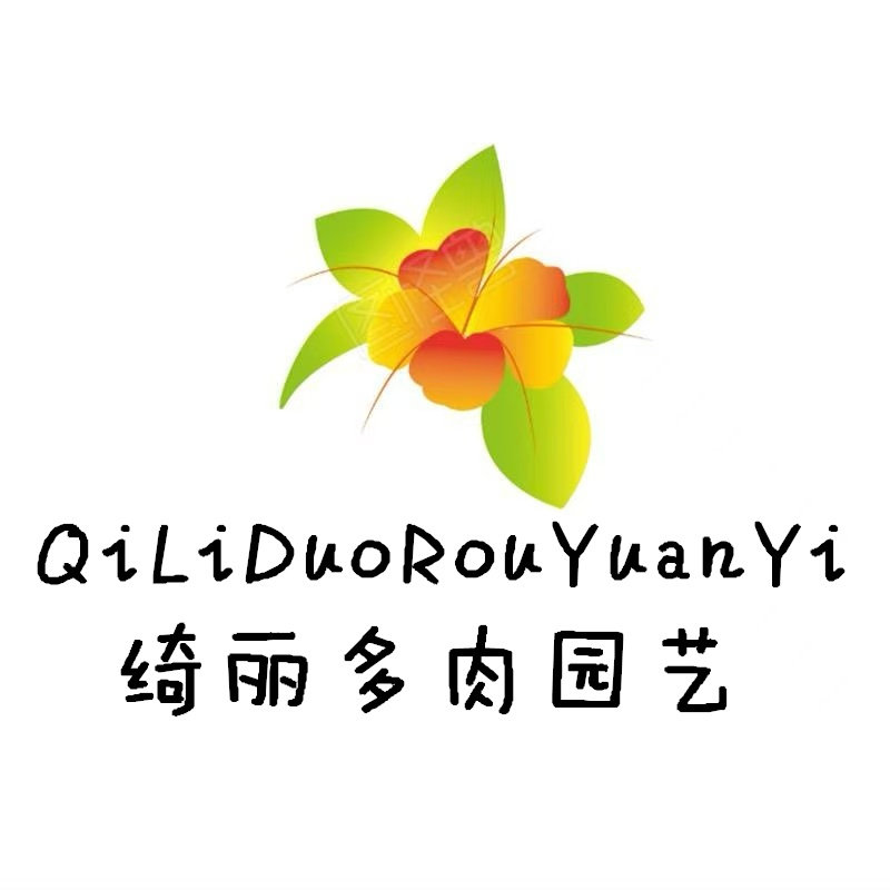 绮丽多肉园艺