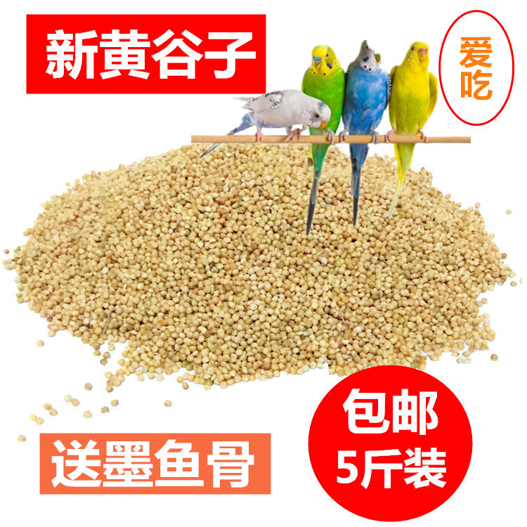 Tiger skin parrot feed bird food Xuan Fenggu zi peony grain Wenbird with shell small rice yellow bird grain 5 catty