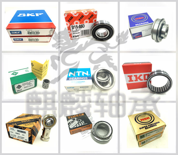 INA bearings Authentic German imported bearings Precision needle roller bearings Roller bearings NU15A NU20A