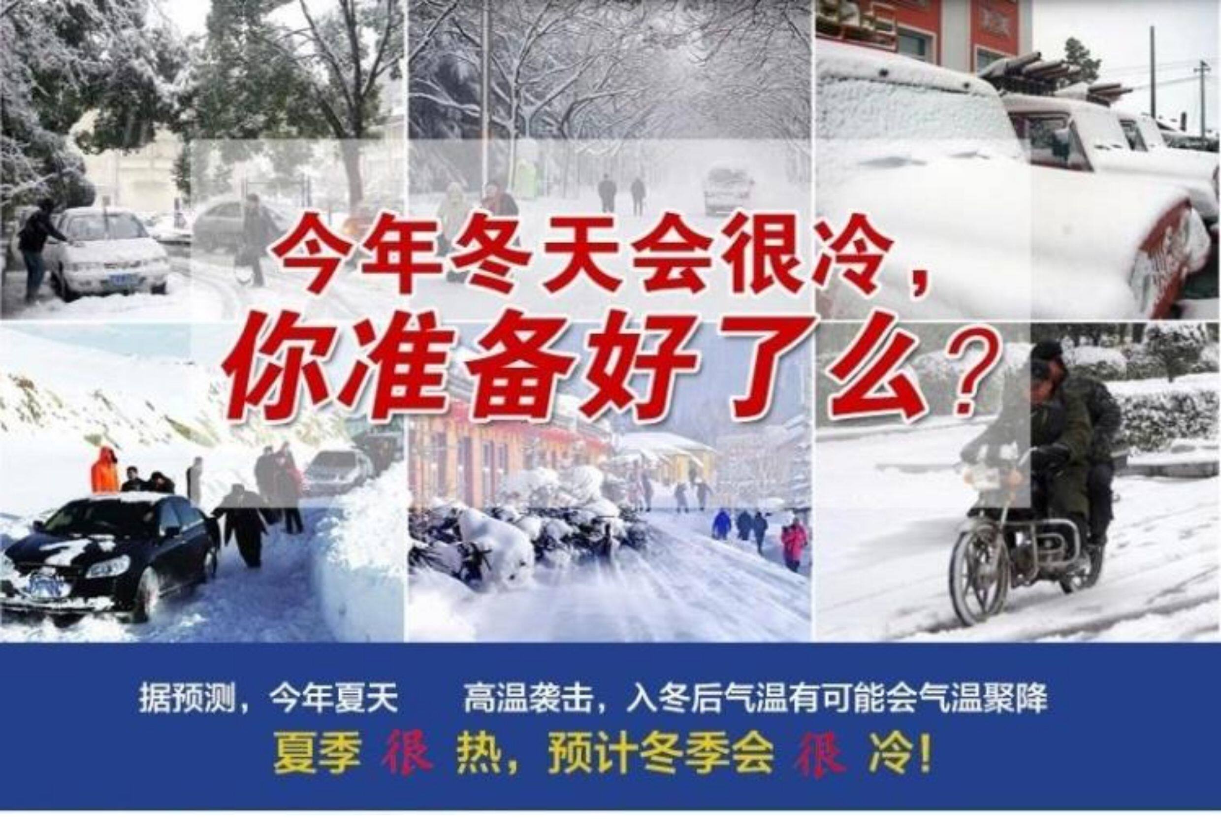 Вниз наполнителя 新国标90%白鸭绒水洗羽绒中朵绒大朵绒散装羽绒羽绒服制品填充物 OTHER