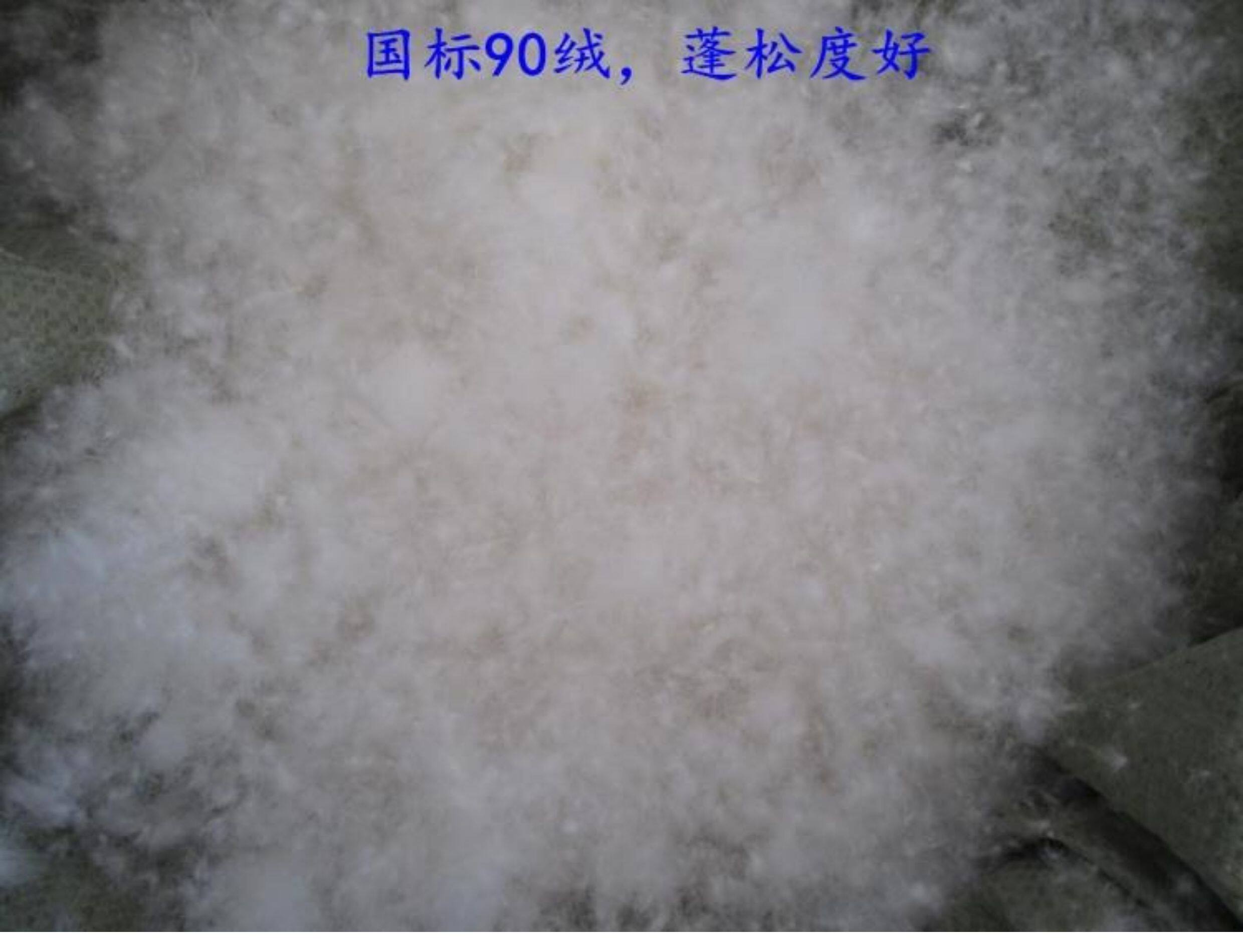 Вниз наполнителя 新国标90%白鸭绒水洗羽绒中朵绒大朵绒散装羽绒羽绒服制品填充物 OTHER