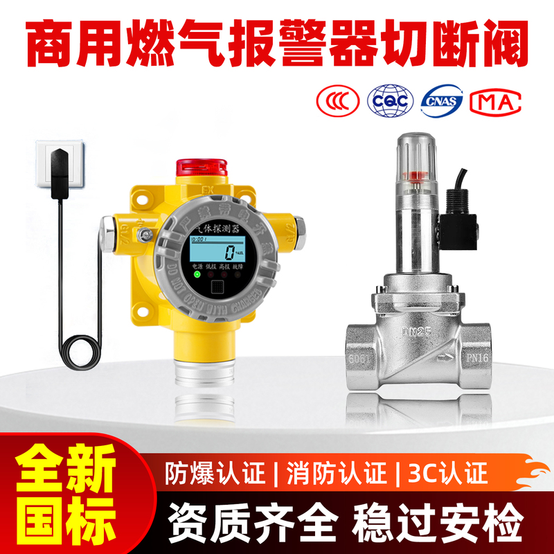 3C Certified Commercial Gas Leak Alarm with Automatic Shut-Off Solenoid Valve for Natural Gas in Catering, Threaded Dn25