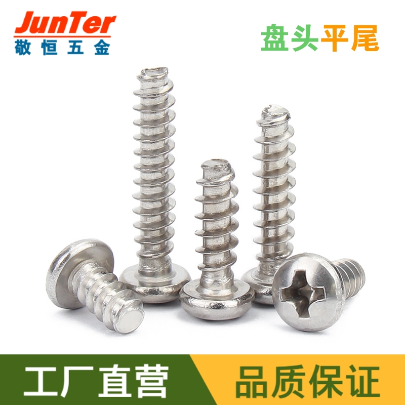 M2 2 * 6 8 10 12 stainless steel 304PB cross disc round head flat tail self-tapping 100