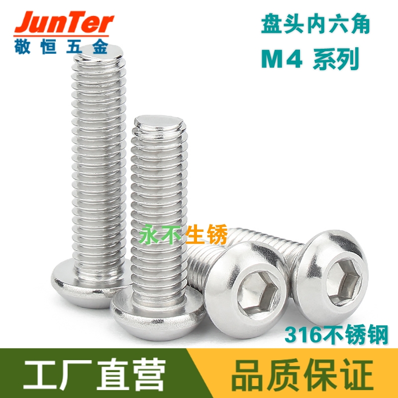 M4 Stainless steel 316 semi - round head ISO 7380 plate hexagonal screws