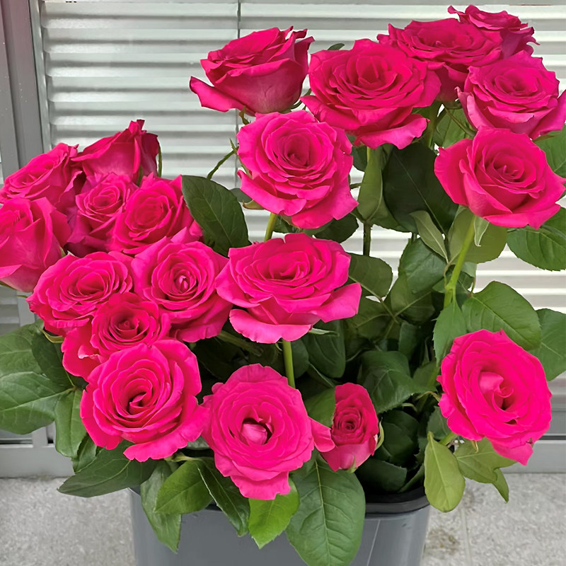 25年爆火鲜花养护法！云南直发粉荔枝玫瑰插花，家里也能当花艺师-代运营-淘宝好物网
