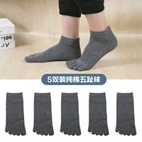ZMP160 Deep Grey 5 [модель короткой трубки]