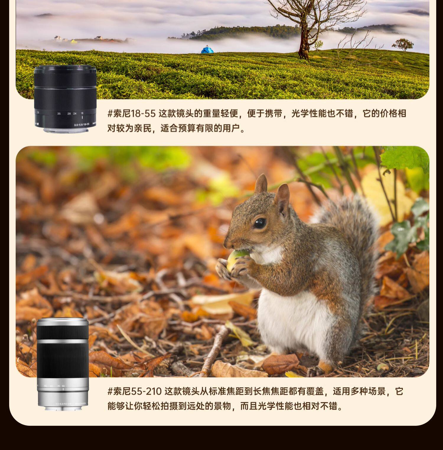 二手镜头 索尼e pz 16-50 mm f3.5-5.6 oss 二手标准变焦电动 微单眼相机相机镜头 Sony