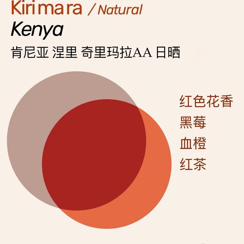 Moon | 2026 New Harvest Season Sun-Dried Kenyan Neri Cherimala Aa Floral Blackberry Blood Orange Moon | 2026 New Harvest Season Sun-Dried Kenyan Neri Cherimala Aa Floral Blackberry Blood Orange