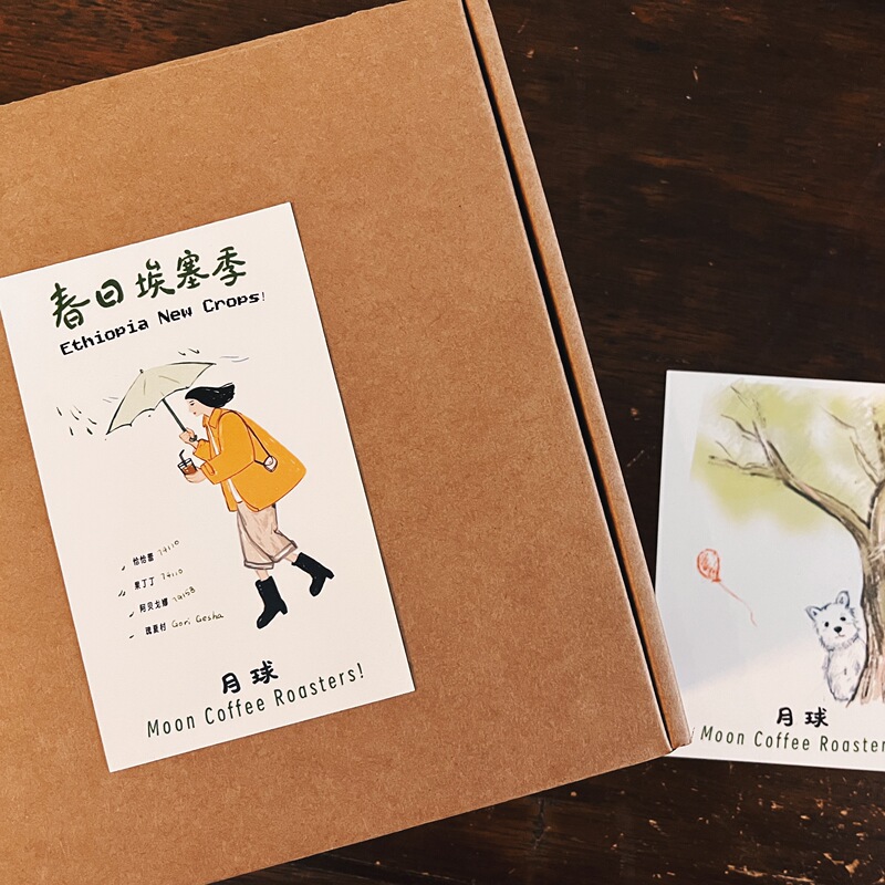 Moon | 26Th New Crop Season "Spring Ethiopian Season" New Bean Tasting Box (1+1+1+1) (Free Shipping)