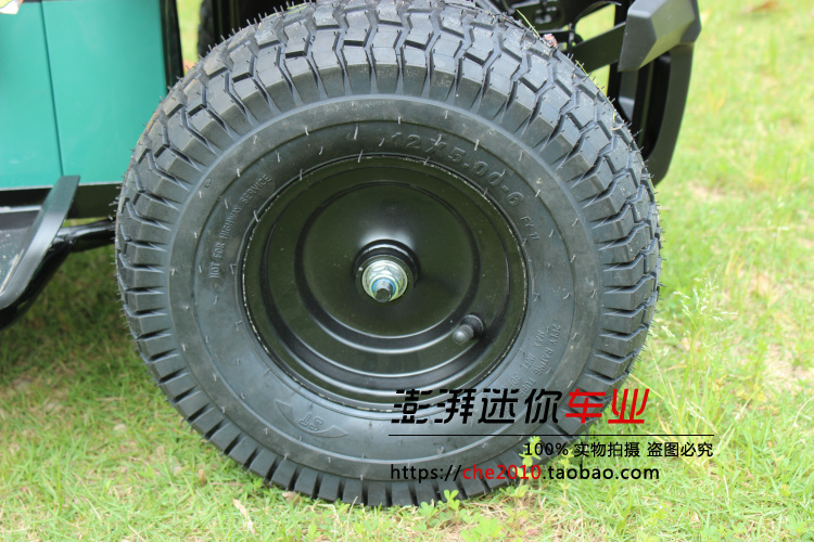 Electric Bull Mini Beach Quad Wheel Pin 36v800w 20an Cho thuê xe máy không chổi than xe máy trẻ em 2 bánh