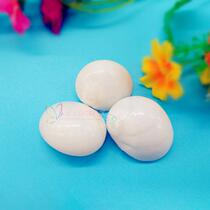 Natural conch shell 3-6cm white cat eye snail White Jade snail roll scallop fish shell fish tank decoration landscape