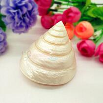 Natural conch shell 5-11cm big white ice tower snail fish tank decoration landscaping creative home accessories