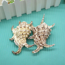 Natural big conch shell water snail hexagon gift toy fish tank decoration floor wall stickers home furnishings