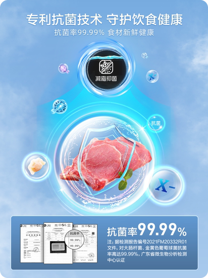 美菱201升家用商用小型冰柜一级节能大容量冷藏-40℃冷冻冷柜冰箱