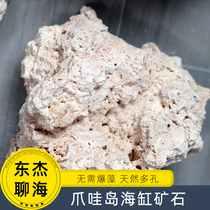 Sea tank ore dry rock from Java Island Indonesia pure dead stone from Java Island sea tank landscaping stone instead of live stone free of exposure