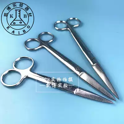 Stainless steel scissors straight elbow 10 12 5 14 16 18cm wire removal scissors eye scissors beauty scissors