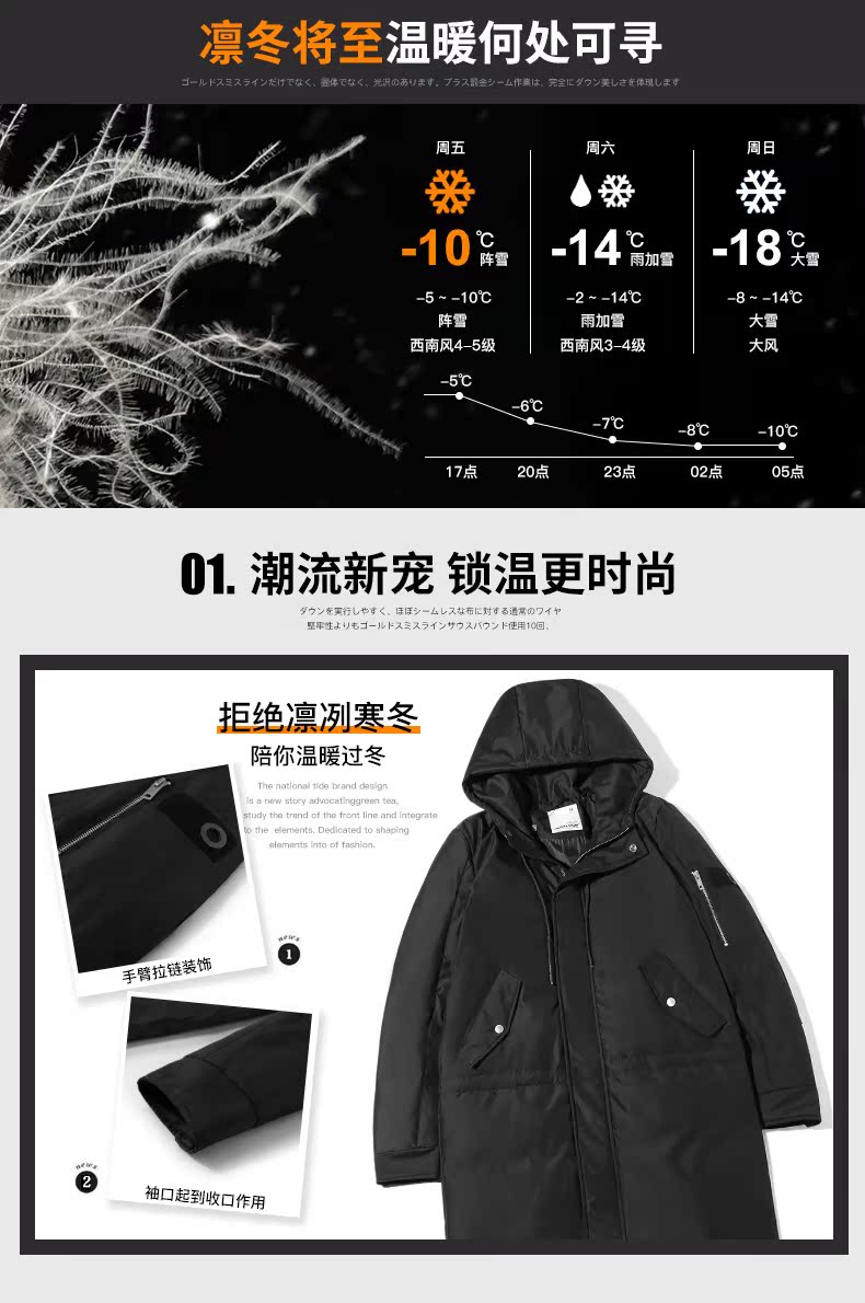 Blouson homme      en Polyester - Ref 3123167 Image 11