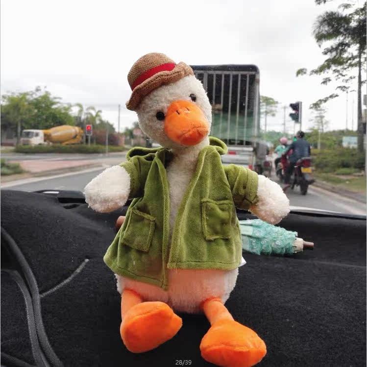 A duck in-car Charcoal Bag in addition to formaldehyde Smell Paparazzi Vehicle Carbon Pack New to Smell Activated Carbon Pendulum