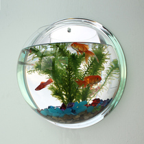 Creative wall hanging fish tank hanging wall aquarium ecological living room Restaurant wall goldfish cylinder mini-cylinder view