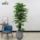 대형 녹색 식물 화분 가짜 나무 시뮬레이션 반얀 트리 거실 바닥 실내 쇼핑몰 호텔 장식 장식 오프닝 목련