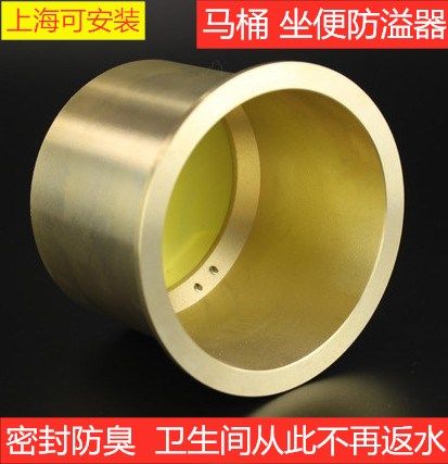 Actively sit on the spill preventer displacement anti-return toilet anti-odor one-way check valve anti-anti-anti-odor submarine flange